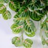 Artificial Plant 35*55CM fittonia leaf bush*8 GS-29820035