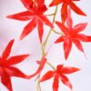 Artificial Plant 70*85CM leaves maple leaf bush*11 GS-29820025