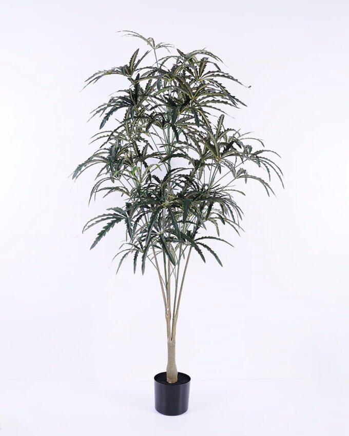 Artificial Tree H:140CM Dizygotheca elegantissima in plastic pot/lvs51 GS-48520067