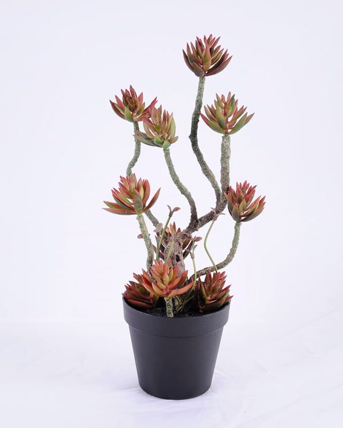 Artificial succulent 18*15*39CM Succulent plants in plastic pot GS-51720214