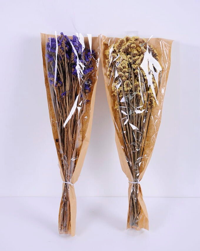 Dried Flowers 10*59cm Nature myosotis sylvatica,70g/bag GS-56620076P0P12JJA