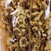 Dried Flowers 10*59cm Nature myosotis sylvatica,70g/bag GS-56620076P0P12JJA
