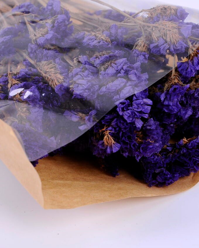 Dried Flowers 10*59cm Nature myosotis sylvatica,70g/bag GS-56620076P0P12JJA
