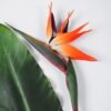 Artificial Flower 150CM Bird of paradise GS-41520037 Single Flowers YeahFlower is one of Chinese leading OEM manufacturers and exporters , supplying the silk flowers, wholesale artificial trees