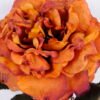 Artificial Flower 20*65 Burning Rose GS-25820022-G1 Single Flowers YeahFlower is one of Chinese leading OEM manufacturers and exporters , supplying the silk flowers, wholesale artificial trees