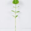 Artificial Flower 50CM Green hair bulb GS-41519016-G2 Single Flowers YeahFlower is one of Chinese leading OEM manufacturers and exporters , supplying the silk flowers, wholesale artificial trees