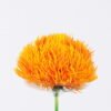 Artificial Flower 50CM Green hair bulb GS-41519016-O1 Single Flowers YeahFlower is one of Chinese leading OEM manufacturers and exporters , supplying the silk flowers, wholesale artificial trees