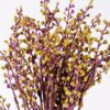 Artificial Flower 15*37cm Berry Bouquet*6 GS-26220096-Y1 Bouquet YeahFlower is one of Chinese leading OEM manufacturers and exporters , supplying the silk flowers, wholesale artificial trees