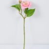 Artificial Flower Camellia Spray 2 GS-53620036-P1_4 Artificial Flower 18*44CM Camellia Spray*2 GS-53620036-P1 Single Flowers YeahFlower is one of Chinese leading OEM manufacturers and exporters , supplying the silk flowers, wholesale artificial trees