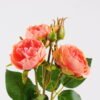 Artificial Flower 13*47CM Chinese rose spray GS-53620048-P2 Single Flowers YeahFlower is one of Chinese leading OEM manufacturers and exporters , supplying the silk flowers, wholesale artificial trees