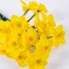Artificial Flower Daffodil Bouquet 3 GS-41520027-Y1_7 Artificial Flower 14*50cm Daffodil Bouquet*3 GS-41520027-Y1 Single Flowers YeahFlower is one of Chinese leading OEM manufacturers and exporters , supplying the silk flowers, wholesale artificial trees