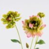 Artificial Flower Flower spray GS-53620016-P1_5 Artificial Flower 15*64CM Flower spray GS-53620016-P1 Single Flowers YeahFlower is one of Chinese leading OEM manufacturers and exporters , supplying the silk flowers, wholesale artificial trees