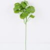 Artificial Flower 16*42CM Hydrocotyle verticillata GS-53620028 Single Flowers YeahFlower is one of Chinese leading OEM manufacturers and exporters , supplying the silk flowers, wholesale artificial trees