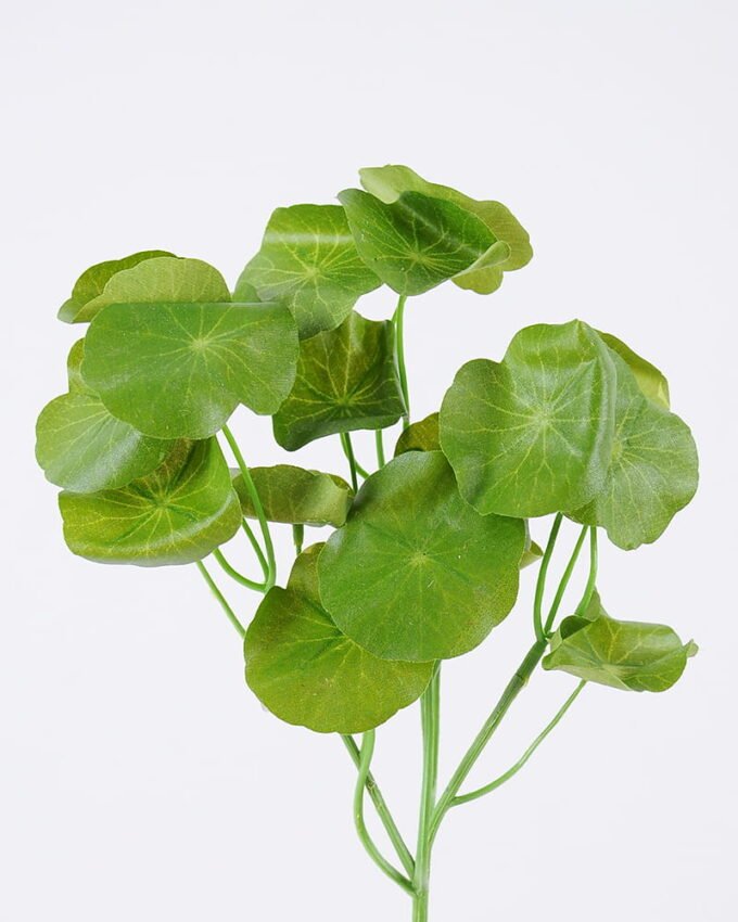 Artificial Flower 16*42CM Hydrocotyle verticillata GS-53620028 Single Flowers YeahFlower is one of Chinese leading OEM manufacturers and exporters , supplying the silk flowers, wholesale artificial trees