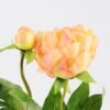 Artificial Flower 18*44CM Peony*2 GS-53620032-Y1 Single Flowers YeahFlower is one of Chinese leading OEM manufacturers and exporters , supplying the silk flowers, wholesale artificial trees