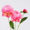 Artificial Flower 16*66CM Peony*2 GS-53620035-P3 Single Flowers YeahFlower is one of Chinese leading OEM manufacturers and exporters , supplying the silk flowers, wholesale artificial trees