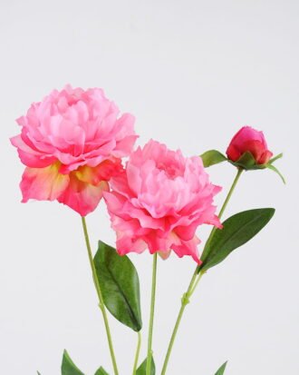 Artificial Flower 16*66CM Peony*2 GS-53620035-P3 Single Flowers YeahFlower is one of Chinese leading OEM manufacturers and exporters , supplying the silk flowers, wholesale artificial trees Artificial Flower 16*66CM Peony*2 GS-53620035-P3 Single Flowers YeahFlower is one of Chinese leading OEM manufacturers and exporters , supplying the silk flowers, wholesale artificial trees