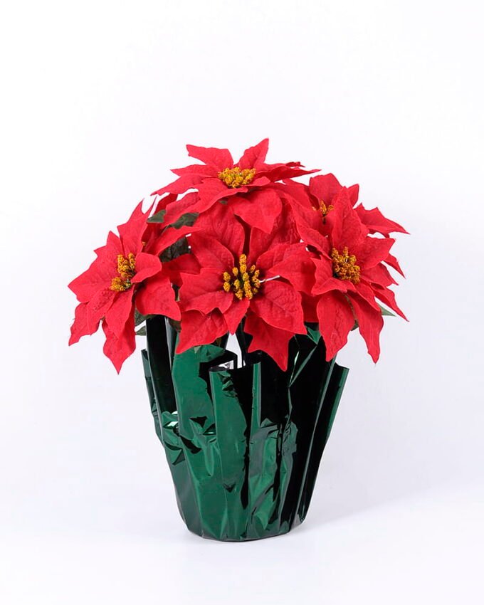 Artificial Flower 34*34*37cm Poinsettia in OPP wrapped GS-61420002 Christmas Item YeahFlower is one of Chinese leading OEM manufacturers and exporters , supplying the silk flowers, wholesale artificial trees
