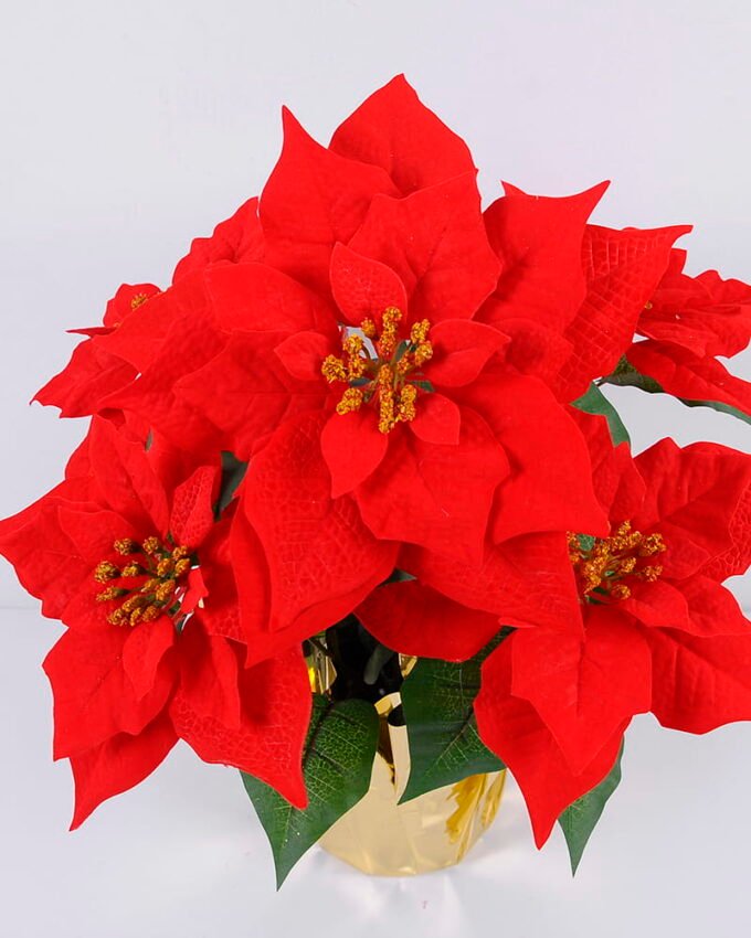 Artificial Flower 47*43*46cm Poinsettia in OPP wrapped GS-61420005 Christmas Item YeahFlower is one of Chinese leading OEM manufacturers and exporters , supplying the silk flowers, wholesale artificial trees