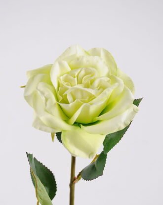 Artificial Flower 14*43CM Rose*1 GS-53620038-G1 Single Flowers YeahFlower is one of Chinese leading OEM manufacturers and exporters , supplying the silk flowers, wholesale artificial trees Artificial Flower 14*43CM Rose*1 GS-53620038-G1 Single Flowers YeahFlower is one of Chinese leading OEM manufacturers and exporters , supplying the silk flowers, wholesale artificial trees