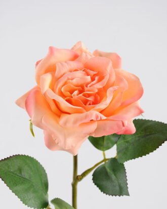 Artificial Flower 14*43CM Rose*1 GS-53620038-P2 Single Flowers YeahFlower is one of Chinese leading OEM manufacturers and exporters , supplying the silk flowers, wholesale artificial trees Artificial Flower 14*43CM Rose*1 GS-53620038-P2 Single Flowers YeahFlower is one of Chinese leading OEM manufacturers and exporters , supplying the silk flowers, wholesale artificial trees