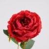 Artificial Flower Singel Rose GS-53620025-R1_4 Artificial Flower 17*46CM Singel Rose GS-53620025-R1 Single Flowers YeahFlower is one of Chinese leading OEM manufacturers and exporters , supplying the silk flowers, wholesale artificial trees