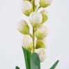 Artificial Flower 10*92cm Single Convallaria GS-12820011-W1 Single Flowers YeahFlower is one of Chinese leading OEM manufacturers and exporters , supplying the silk flowers, wholesale artificial trees