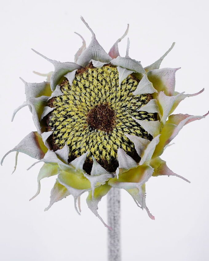 Artificial Flower Sunflower GS-41520026-G1_1 Artificial Flower 12*50cm Sunflower GS-41520026-G1 Single Flowers YeahFlower is one of Chinese leading OEM manufacturers and exporters , supplying the silk flowers, wholesale artificial trees