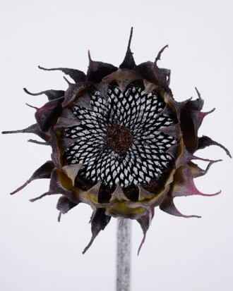 Artificial Flower 12*50cm Sunflower GS-41520026-H1 Single Flowers YeahFlower is one of Chinese leading OEM manufacturers and exporters , supplying the silk flowers, wholesale artificial trees