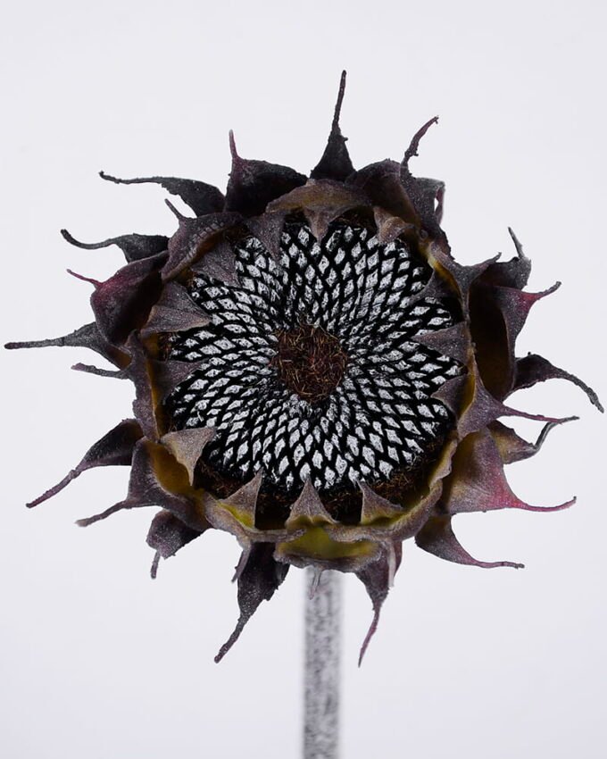 Artificial Flower Sunflower GS-41520026-H1_1 Artificial Flower 12*50cm Sunflower GS-41520026-H1 Single Flowers YeahFlower is one of Chinese leading OEM manufacturers and exporters , supplying the silk flowers, wholesale artificial trees