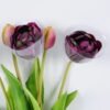 Artificial Flower 15*39cm Tulip Bouquet*5 GS-41520032-Z2 Bouquet YeahFlower is one of Chinese leading OEM manufacturers and exporters , supplying the silk flowers, wholesale artificial trees