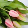 Artificial Flower 17*30cm Tulip Bouquet*7 GS-41520029-P1 Bouquet YeahFlower is one of Chinese leading OEM manufacturers and exporters , supplying the silk flowers, wholesale artificial trees