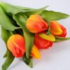 Artificial Flower Tulip Bouquet 7 GS-41520031-O1_6 Artificial Flower 17*30cm Tulip Bouquet*7 GS-41520031-O1 Bouquet YeahFlower is one of Chinese leading OEM manufacturers and exporters , supplying the silk flowers, wholesale artificial trees
