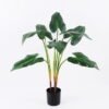 Artificial Plant 65*65*75cm Calla lily leaves in Plastic pot GF-14220001 Leaves&Sprays&Foliages YeahFlower is one of Chinese leading OEM manufacturers and exporters , supplying the silk flowers, wholesale artificial trees