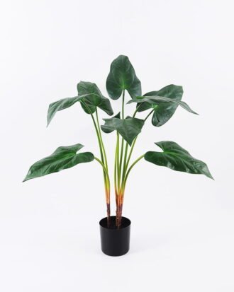 Artificial Plant 65*65*75cm Calla lily leaves in Plastic pot GF-14220001 Leaves&Sprays&Foliages YeahFlower is one of Chinese leading OEM manufacturers and exporters , supplying the silk flowers, wholesale artificial trees