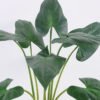 Artificial Plant 65*65*75cm Calla lily leaves in Plastic pot GF-14220001 Leaves&Sprays&Foliages YeahFlower is one of Chinese leading OEM manufacturers and exporters , supplying the silk flowers, wholesale artificial trees