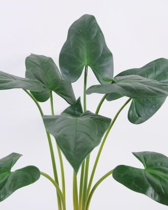 Artificial Plant 65*65*75cm Calla lily leaves in Plastic pot GF-14220001 Leaves&Sprays&Foliages YeahFlower is one of Chinese leading OEM manufacturers and exporters , supplying the silk flowers, wholesale artificial trees