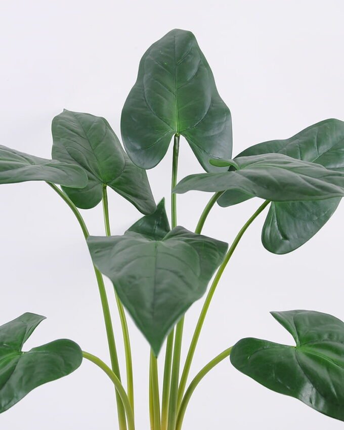 Artificial Plant 65*65*75cm Calla lily leaves in Plastic pot GF-14220001 Leaves&Sprays&Foliages YeahFlower is one of Chinese leading OEM manufacturers and exporters , supplying the silk flowers, wholesale artificial trees