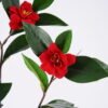 Artificial Plant 30*80cm Camellia Spray GS-31220005 Leaves&Sprays&Foliages YeahFlower is one of Chinese leading OEM manufacturers and exporters , supplying the silk flowers, wholesale artificial trees