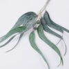 Artificial Plant Eucalyptus Leaves Bouquet 3 GS-41520025_7 Artificial Plant 12*60cm Eucalyptus Leaves Bouquet*3 GS-41520025 Bouquet YeahFlower is one of Chinese leading OEM manufacturers and exporters , supplying the silk flowers, wholesale artificial trees