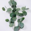 Artificial Plant 26*100cm Eucalyptus Leaves GS-41520006 Leaves&Sprays&Foliages YeahFlower is one of Chinese leading OEM manufacturers and exporters , supplying the silk flowers, wholesale artificial trees