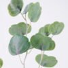 Artificial Plant Eucalyptus Leaves GS-41520007_6 Artificial Plant 16*68cm Eucalyptus Leaves GS-41520007 Leaves&Sprays&Foliages YeahFlower is one of Chinese leading OEM manufacturers and exporters , supplying the silk flowers, wholesale artificial trees