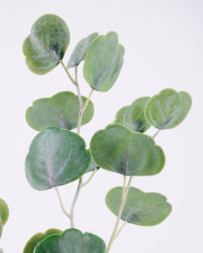 Artificial Plant Eucalyptus Leaves GS-41520007_6 Artificial Plant 16*68cm Eucalyptus Leaves GS-41520007 Leaves&Sprays&Foliages YeahFlower is one of Chinese leading OEM manufacturers and exporters , supplying the silk flowers, wholesale artificial trees