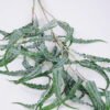 Artificial Plant 33*104cm Eucalyptus Leaves GS-41520008 Leaves&Sprays&Foliages YeahFlower is one of Chinese leading OEM manufacturers and exporters , supplying the silk flowers, wholesale artificial trees
