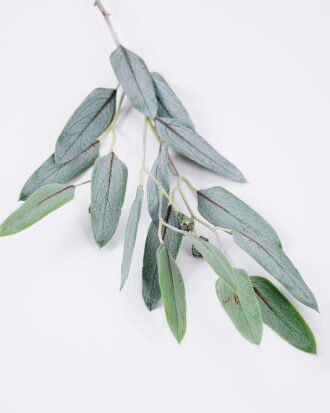 Artificial Plant 16*70cm Eucalyptus Leaves GS-41520011 Leaves&Sprays&Foliages YeahFlower is one of Chinese leading OEM manufacturers and exporters , supplying the silk flowers, wholesale artificial trees