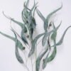 Artificial Plant Eucalyptus Leaves GS-41520012_5 Artificial Plant 50*115cm Eucalyptus Leaves GS-41520012 Leaves&Sprays&Foliages YeahFlower is one of Chinese leading OEM manufacturers and exporters , supplying the silk flowers, wholesale artificial trees