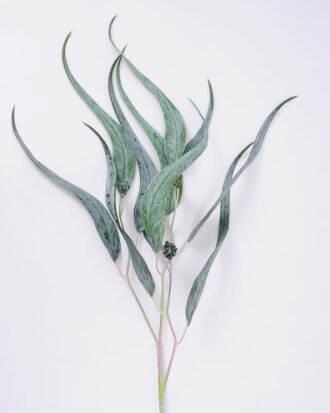 Artificial Plant 12*82cm Eucalyptus Leaves GS-41520013 Leaves&Sprays&Foliages YeahFlower is one of Chinese leading OEM manufacturers and exporters , supplying the silk flowers, wholesale artificial trees