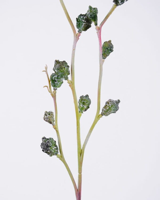 Artificial Plant Eucalyptus fruit GS-41520016_5 Artificial Plant 10*61cm Eucalyptus fruit GS-41520016 Leaves&Sprays&Foliages YeahFlower is one of Chinese leading OEM manufacturers and exporters , supplying the silk flowers, wholesale artificial trees