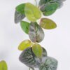 Artificial Plant 20*195cm Garland vines/lvs112 GS-29820042 Banners&Garlands YeahFlower is one of Chinese leading OEM manufacturers and exporters , supplying the silk flowers, wholesale artificial trees
