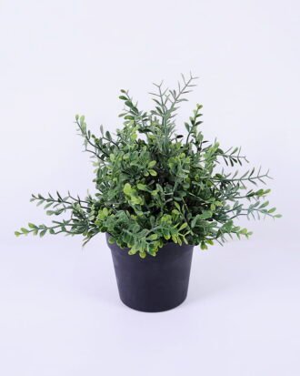 Artificial Plant 20*20*23cm Grass in pp pot GS-06920080 Potted Flowers&Plants YeahFlower is one of Chinese leading OEM manufacturers and exporters , supplying the silk flowers, wholesale artificial trees